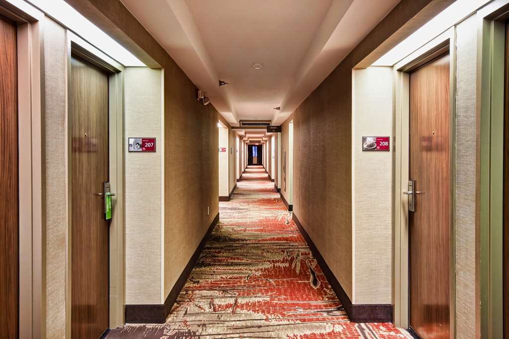 Hampton Inn Starkville Beltér fotó